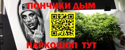 сатива Можга
